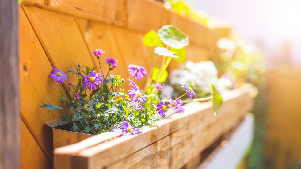 plants in pallet planter